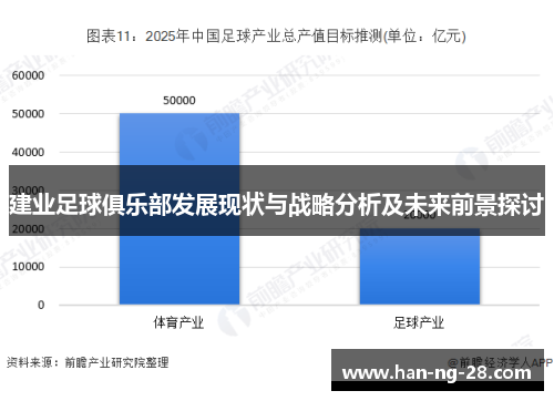 建业足球俱乐部发展现状与战略分析及未来前景探讨