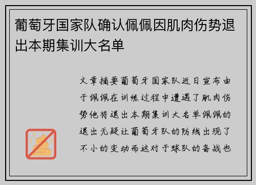 葡萄牙国家队确认佩佩因肌肉伤势退出本期集训大名单