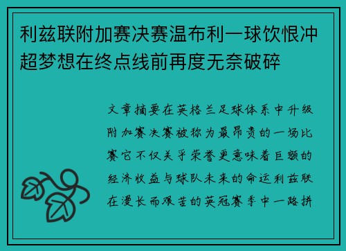 利兹联附加赛决赛温布利一球饮恨冲超梦想在终点线前再度无奈破碎 利兹联附加赛决赛温布利一球饮恨冲超梦想在终点线前再度无奈破碎